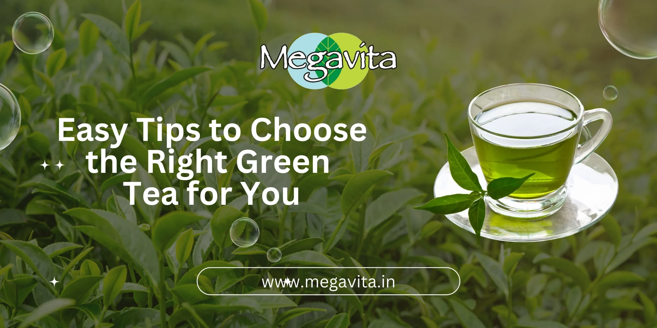 Easy tips to choose the right green tea for you