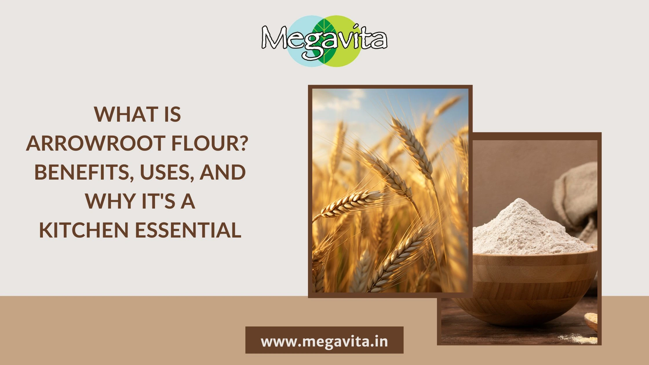 What is arrowroot flour? Benefits uses