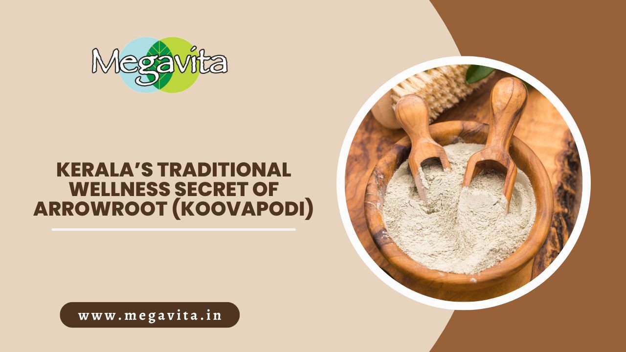 Kerala’s traditional wellness secret of arrowroot