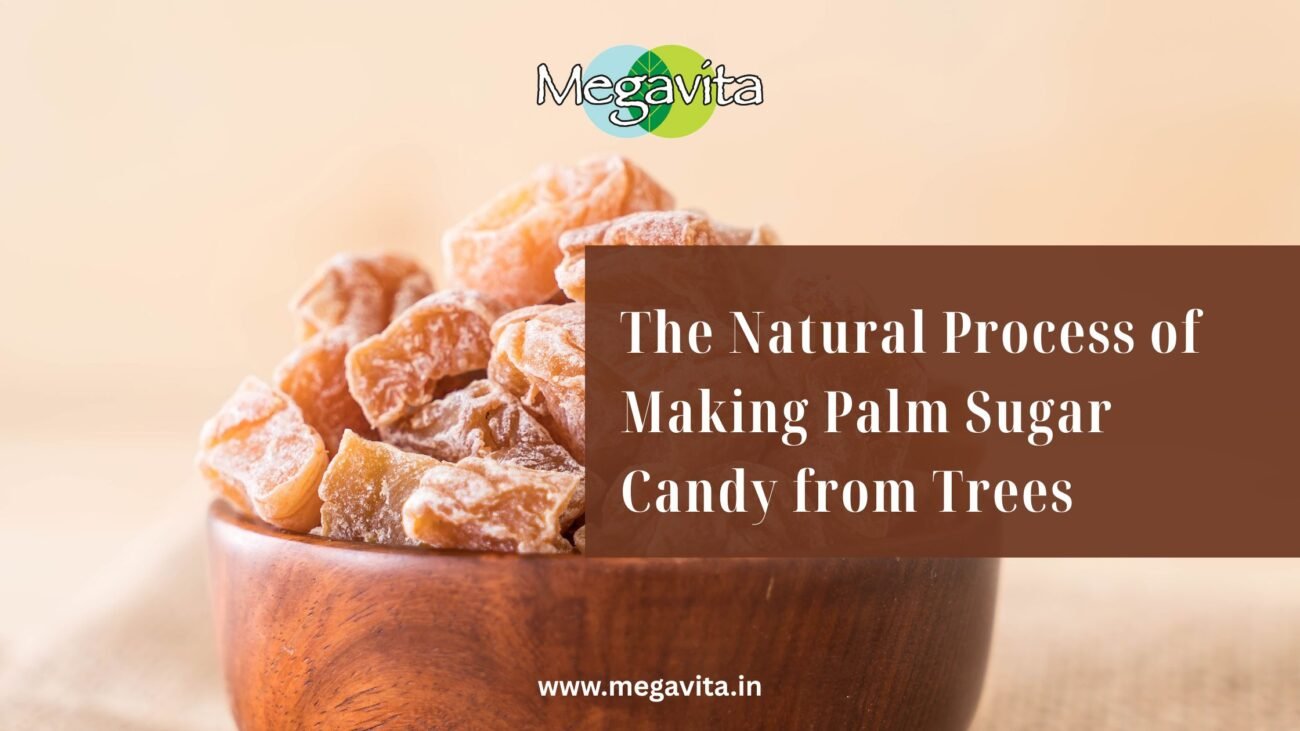 The natural process of making palm sugar candy from trees