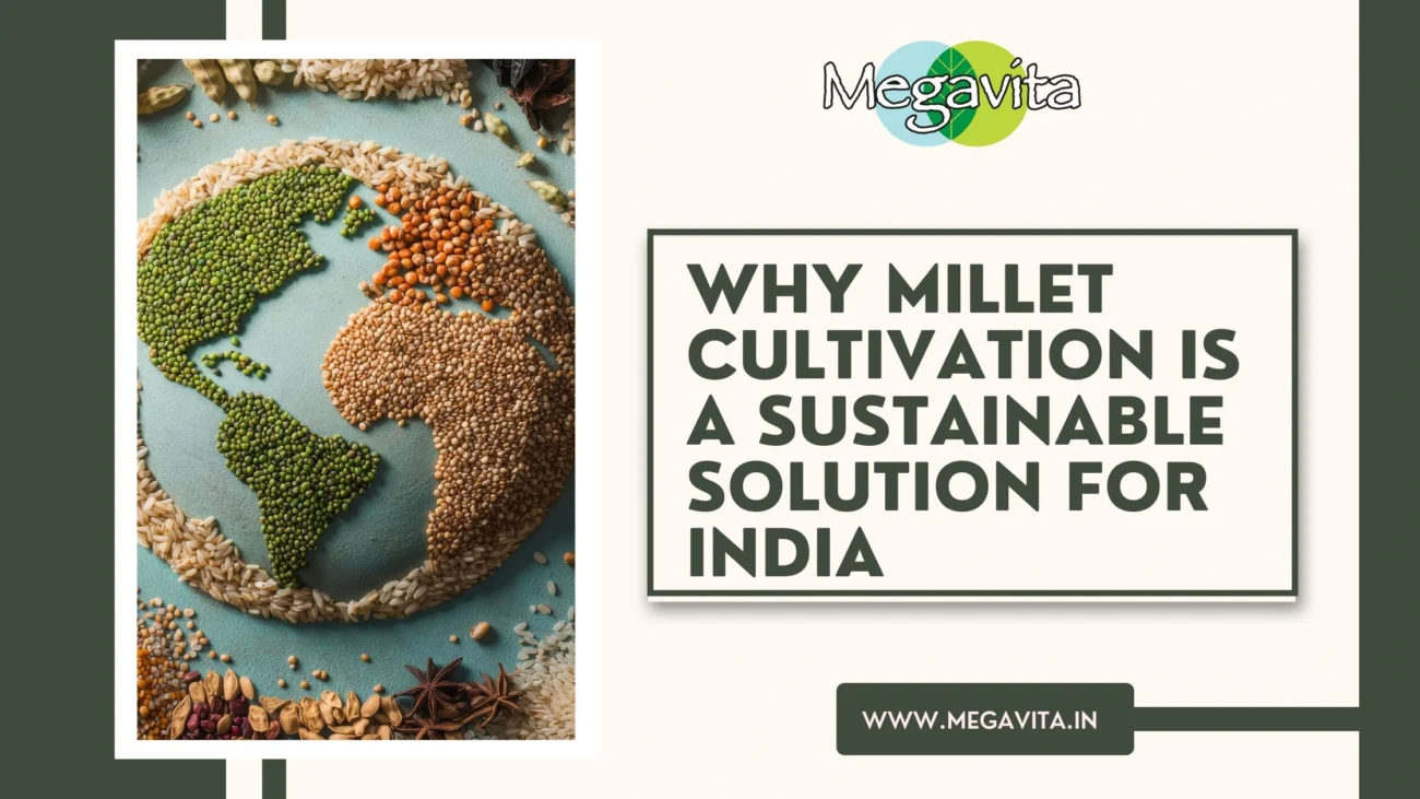 Why Millet Cultivation is a Sustainable Solution for India