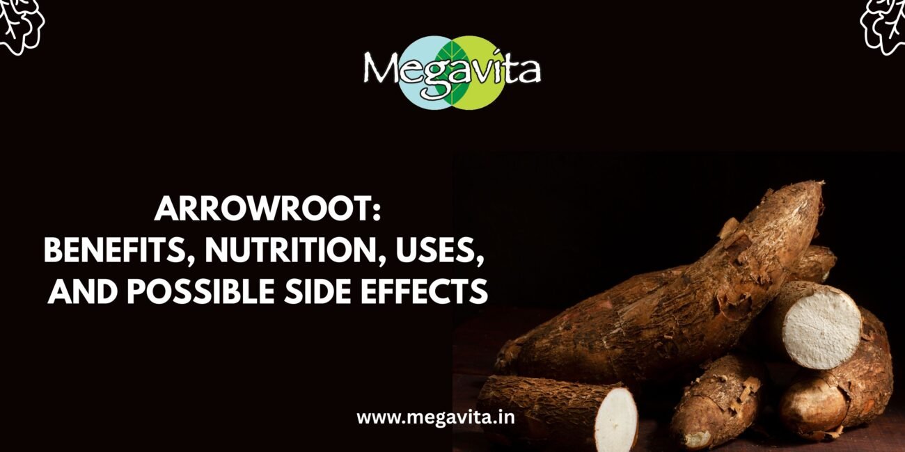 Arrowroot: Benefits, Nutrition, Uses, And Possible Side Effects